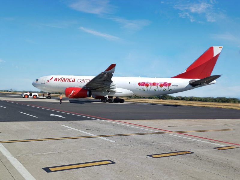Avianca cargo lidera transporte flor colombia estados unidos duplica capacidad cumpliendo puntualidad calidad servicio
