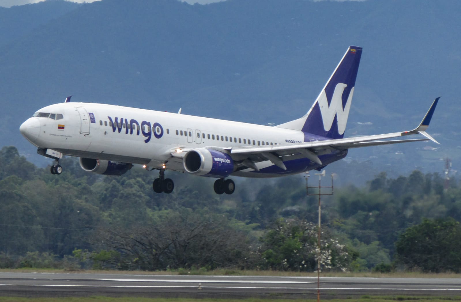 Wingo se consolida en las rutas de Colombia - Venezuela