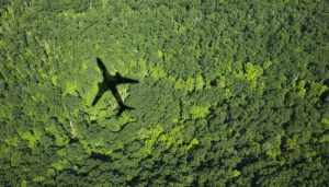 LATAM Cargo es reconocida como la “Aerolínea de carga más sostenible del año en América”