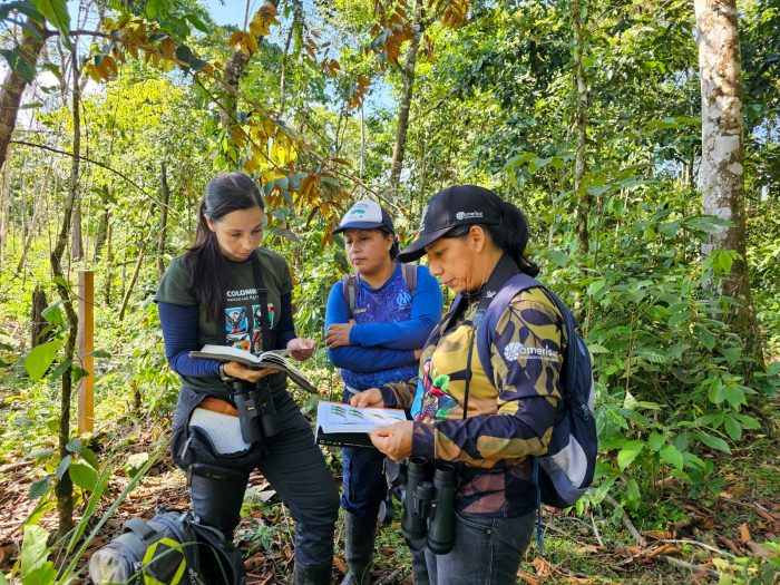 Avianca en colaboración con Wildlife Conservation Society (WCS) apoyó la celebración del October Big Day