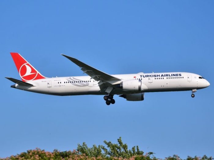 Turkish Airlines ajusta frecuencias en América Central