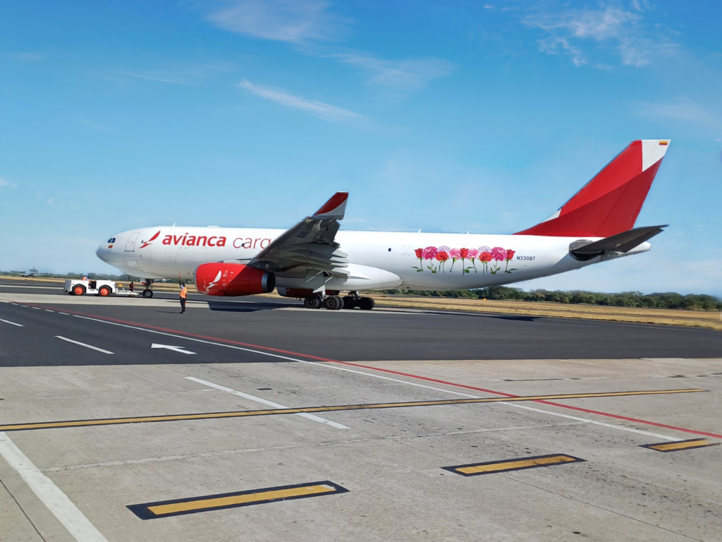 Avianca Cargo cierra con éxito la temporada de San Valentín 2025 con envíos récord de flores