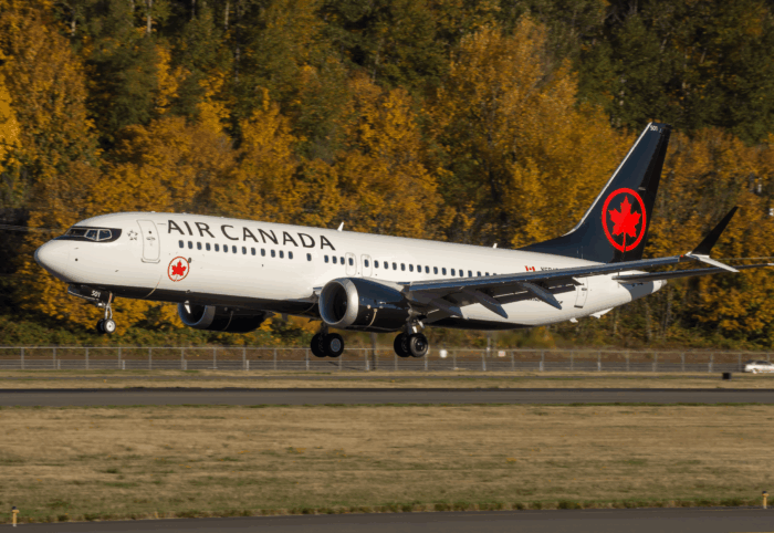 Air Canada suspende operaciones