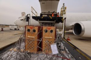 TAAG transportó dos leones a Nigeria